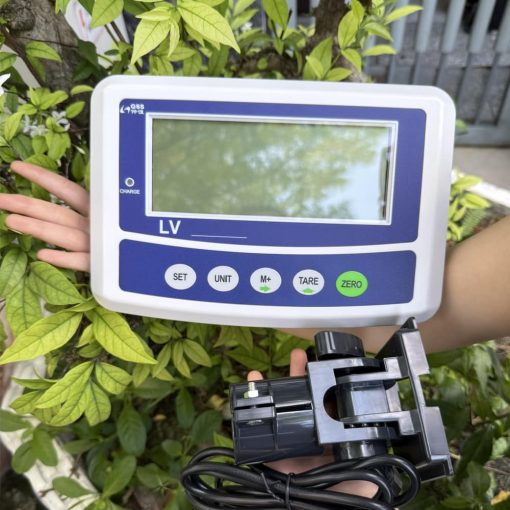 đầu cân lv gss