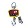 cân treo điện tử OCS TPS 2T