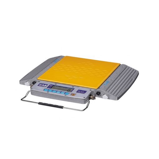 Cân xe tải xách tay CAS RW 10S